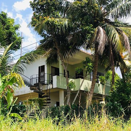 Rice Field View Home Stay Tangalle Dış mekan fotoğraf