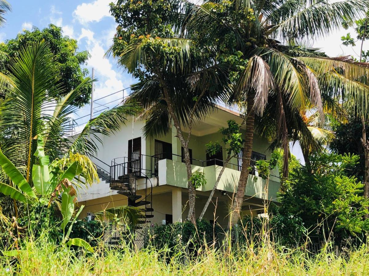 Rice Field View Home Stay Tangalle Dış mekan fotoğraf