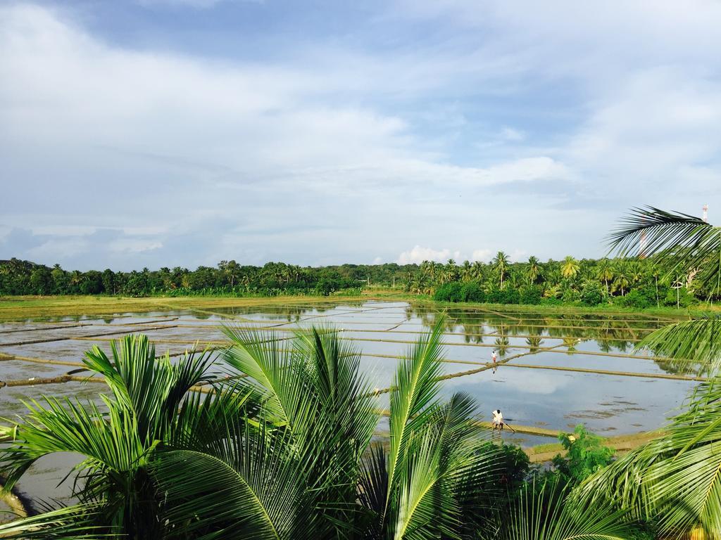 Rice Field View Home Stay Tangalle Oda fotoğraf