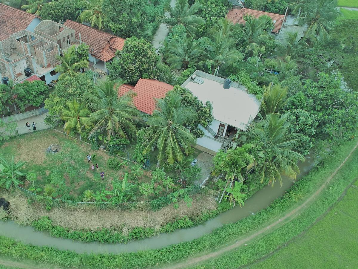 Rice Field View Home Stay Tangalle Dış mekan fotoğraf