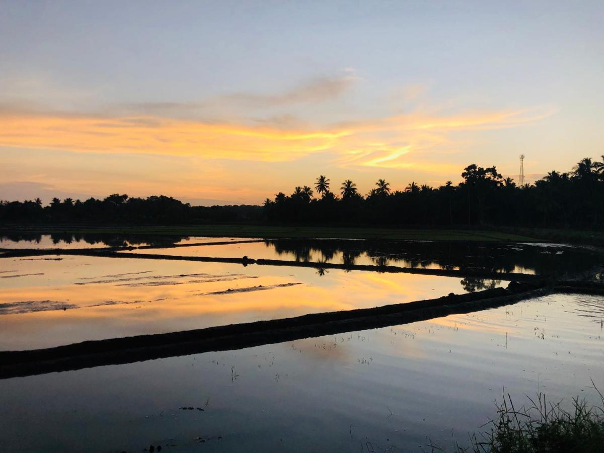 Rice Field View Home Stay Tangalle Dış mekan fotoğraf
